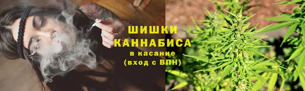 МДПВ Бронницы