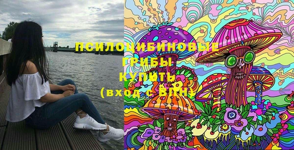 МДПВ Бронницы