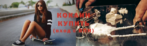 индика Краснослободск