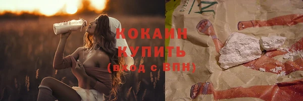 МДПВ Бронницы