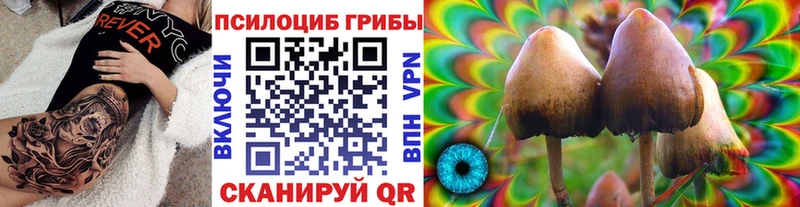 где можно купить наркотик  Гороховец  Галлюциногенные грибы GOLDEN TEACHER 